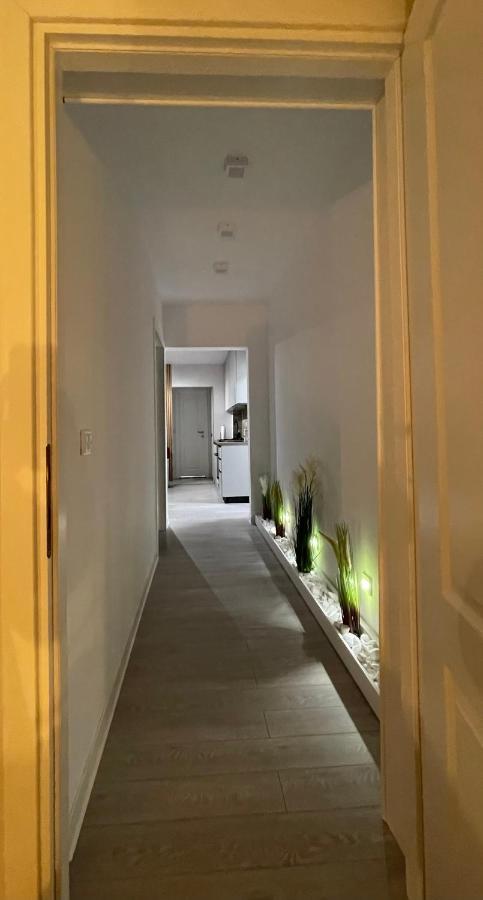 Oxana Apartments - 3 Camere - 티미쇼아라 외부 사진