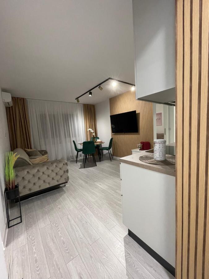 Oxana Apartments - 3 Camere - 티미쇼아라 외부 사진