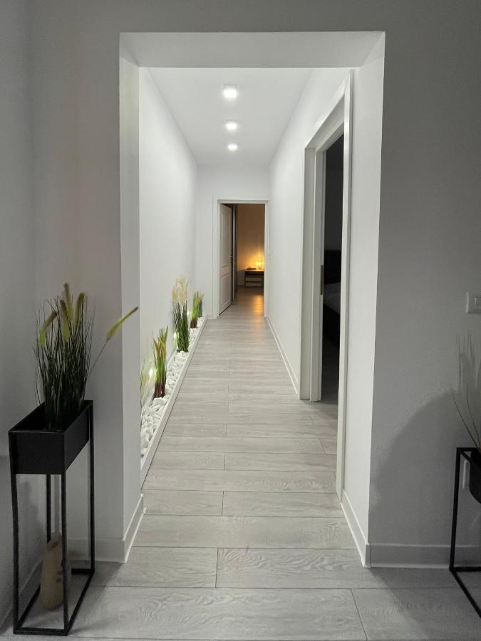 Oxana Apartments - 3 Camere - 티미쇼아라 외부 사진