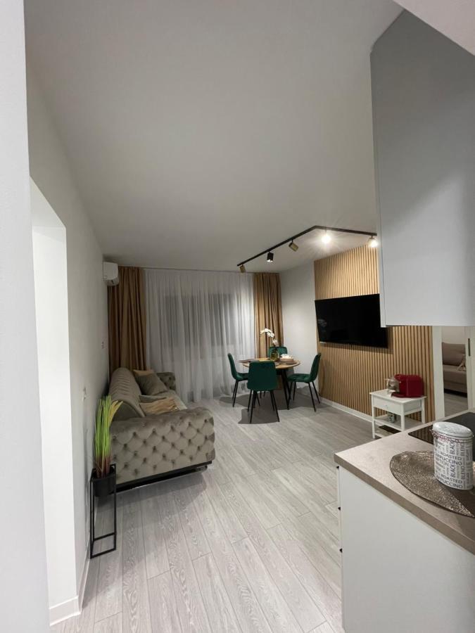Oxana Apartments - 3 Camere - 티미쇼아라 외부 사진