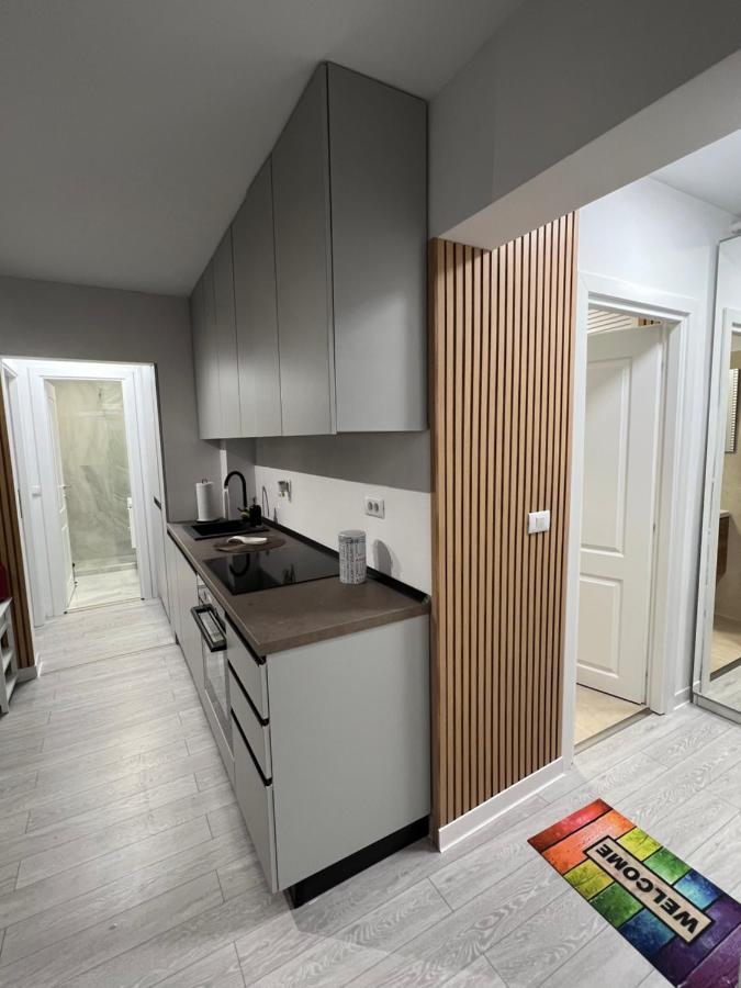 Oxana Apartments - 3 Camere - 티미쇼아라 외부 사진
