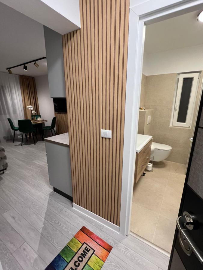 Oxana Apartments - 3 Camere - 티미쇼아라 외부 사진