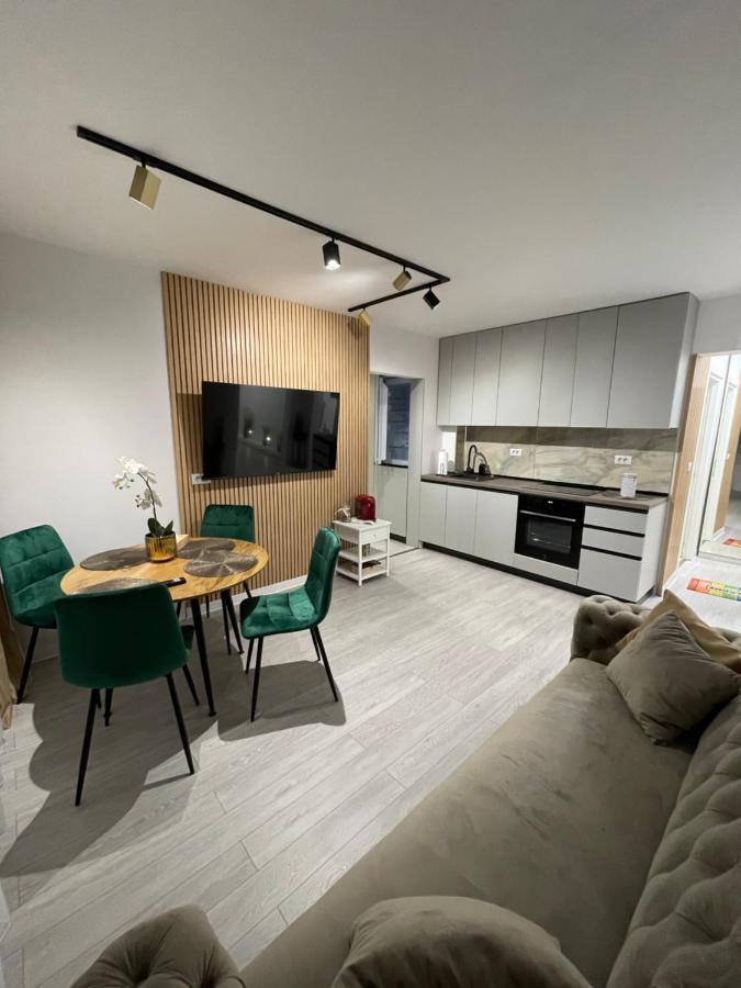 Oxana Apartments - 3 Camere - 티미쇼아라 외부 사진