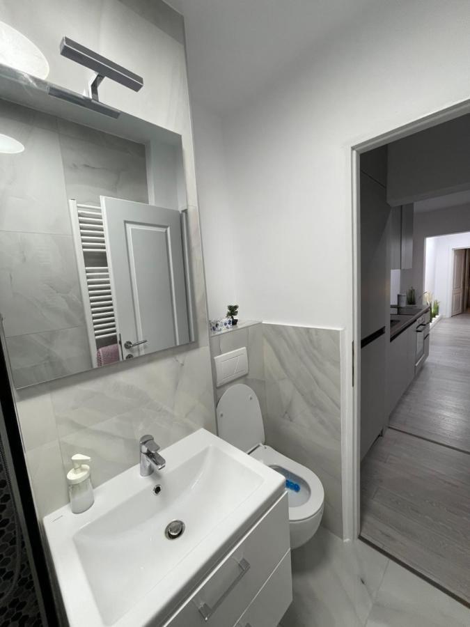 Oxana Apartments - 3 Camere - 티미쇼아라 외부 사진