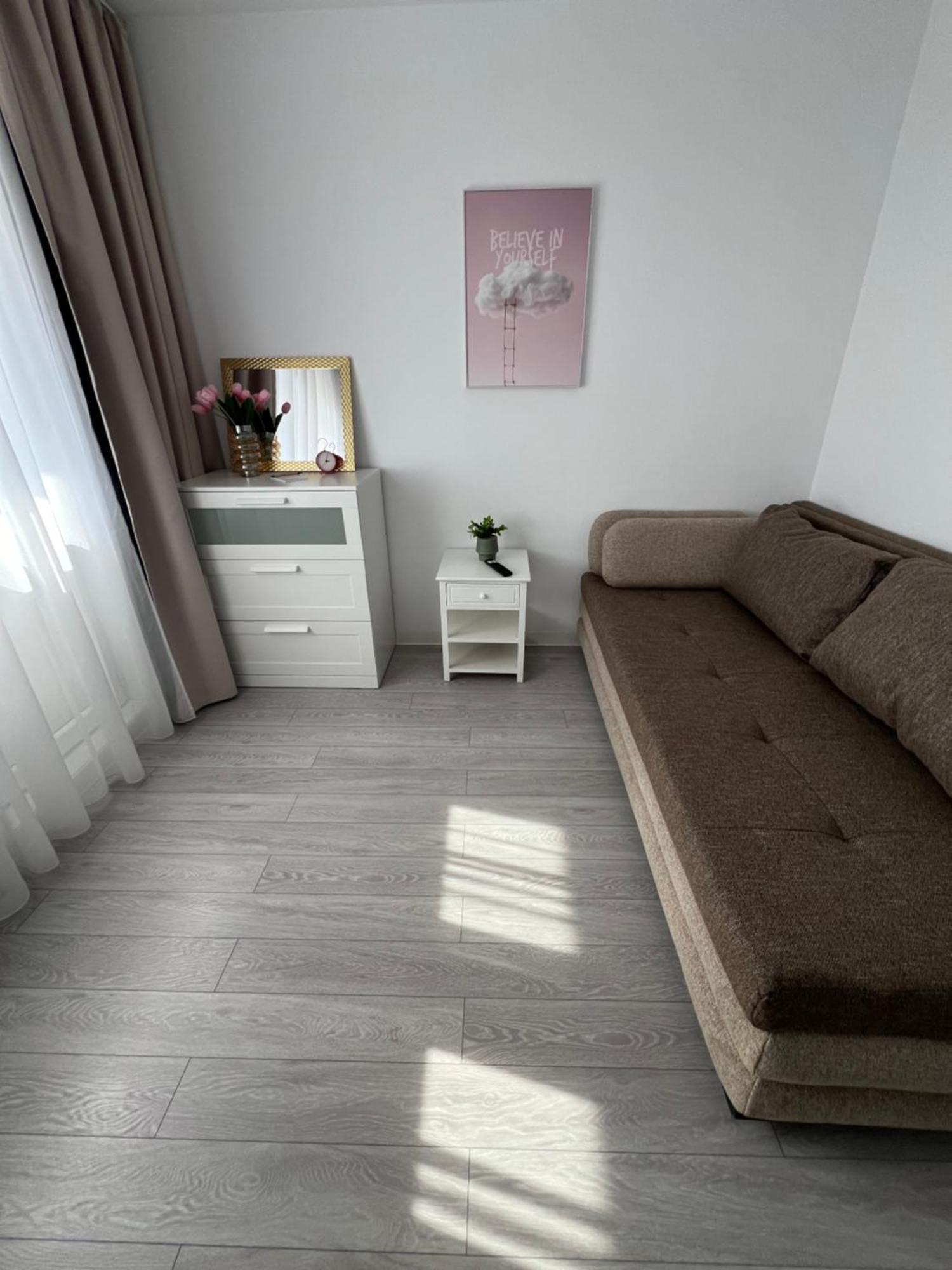 Oxana Apartments - 3 Camere - 티미쇼아라 외부 사진