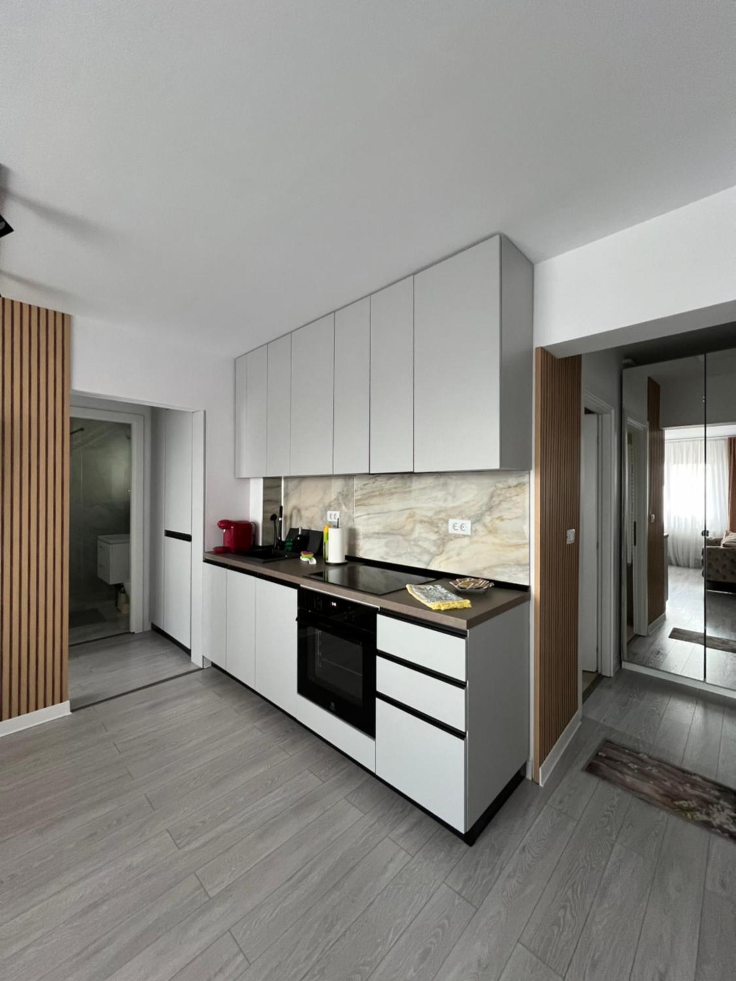 Oxana Apartments - 3 Camere - 티미쇼아라 외부 사진