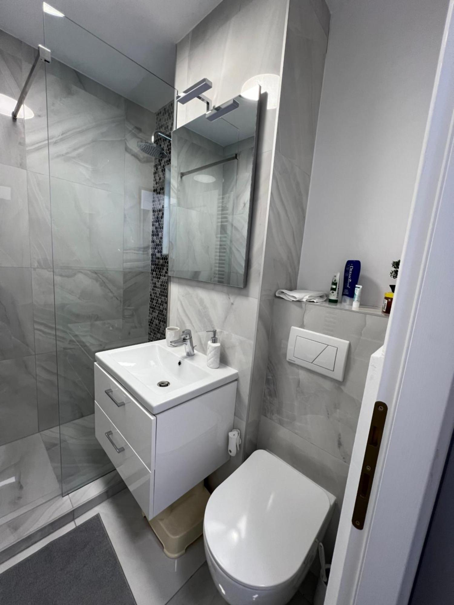Oxana Apartments - 3 Camere - 티미쇼아라 외부 사진